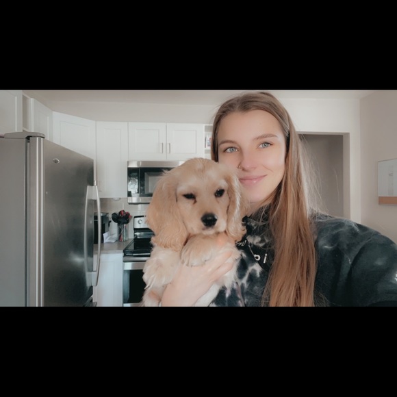 Meet your Posher, Sydney - Picture 2 of 2